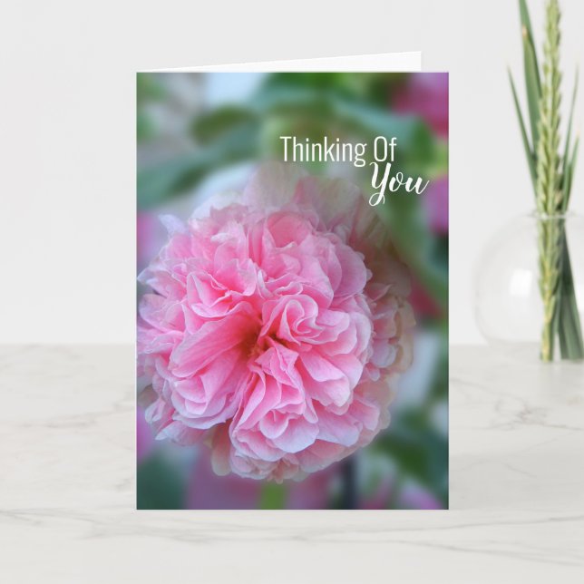 Thinking Of You Hollyhock Photo Card (Front)