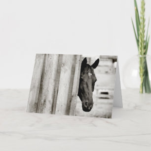 Thinking of You Horse Card