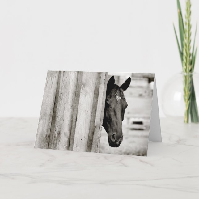 Thinking of You Horse Card (Front)