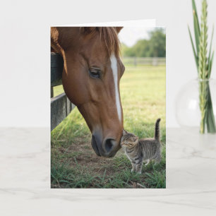 Thinking of You Horse with Tabby Kitten Card