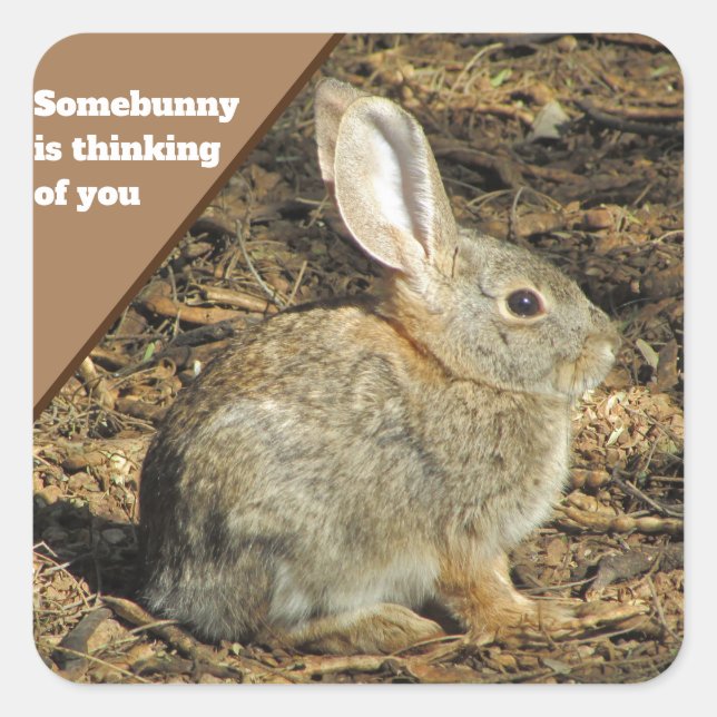 Thinking Of You Humour Brown Bunny Photo Animal Square Sticker (Front)