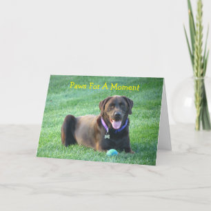 Thinking Of You Labrador Retriever Greeting Card