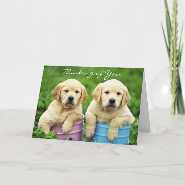 Thinking of You Labrador Retriever Puppies Card (Front)