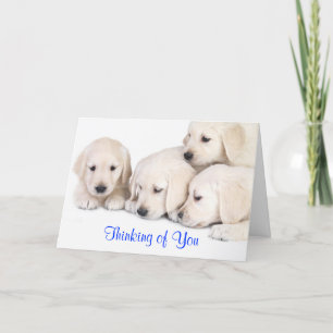 Thinking of You Labrador Retriever Puppies Card