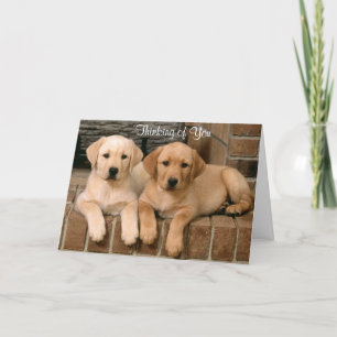 Thinking of You Labrador Retriever Puppies Card