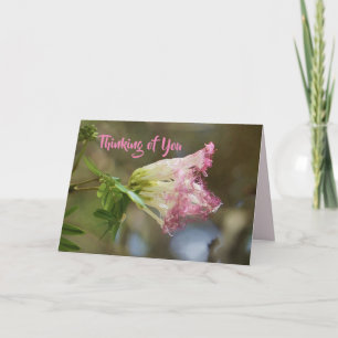 Thinking of You Lacy Pink Flower Card