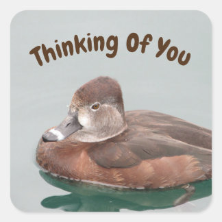 Thinking Of You Lake Duck Nature Cheer Up Square Sticker