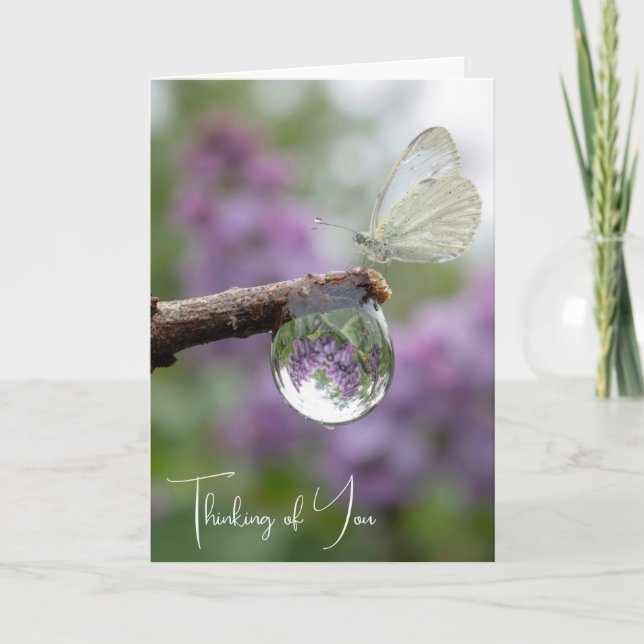 Thinking of You Lilacs Reflecting in a Raindrop  Card (Front)