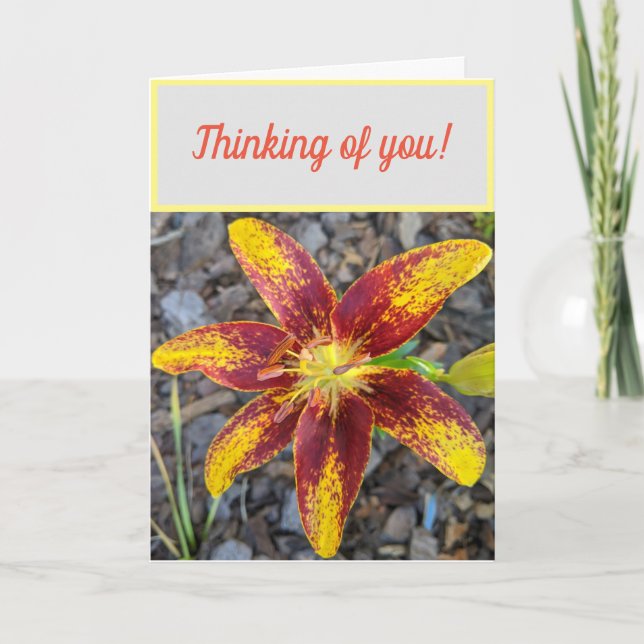 Thinking of you Lilly greeting card (Front)