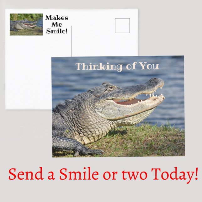 Thinking of You Makes Me Smile Alligator Postcard (Creator Uploaded)