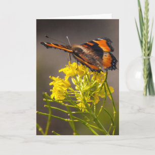 Thinking of You Milbert's Tortoiseshell Butterfly Card