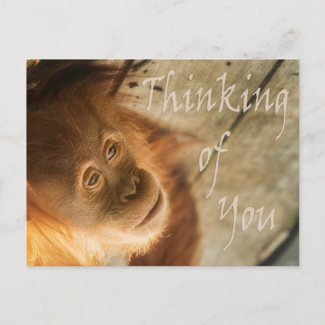 Thinking of You Monkey Postcard (Front)