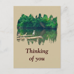 Thinking of You Morning at the Creek Postcard