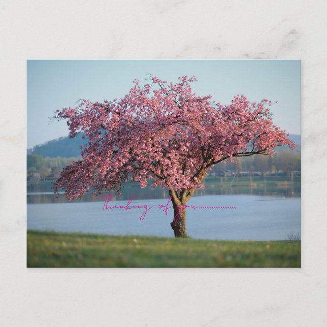 thinking of you nature  postcard (Front)