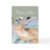 Thinking of You Note Card