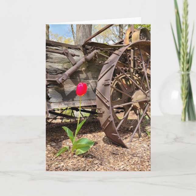 Thinking of You Old Wagon and Red Tulip Card (Front)