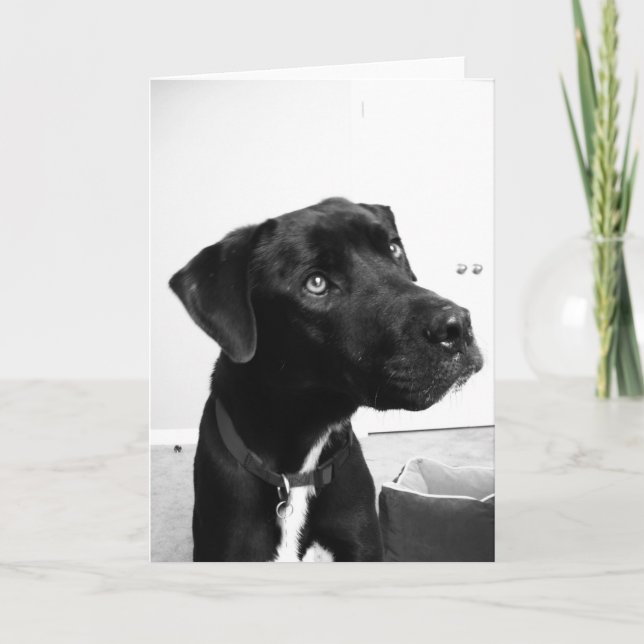 Thinking of you on your birthday card (Front)