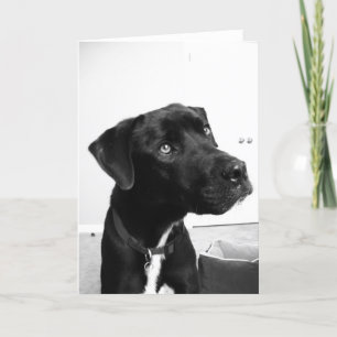 Thinking of you on your birthday card