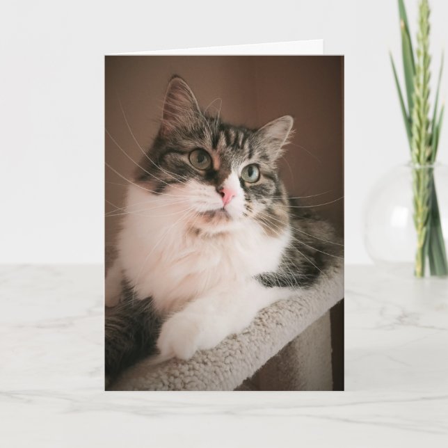 Thinking of You on Your Birthday (Card) Card (Front)