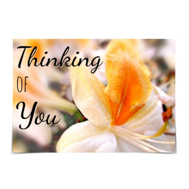 "Thinking of You" Orange Azalea Card (Creator Uploaded)