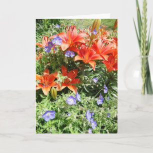 Thinking of You, Orange Lillies Card