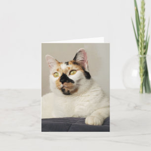 Thinking of you Photo Greeting Card