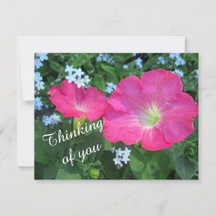 Thinking of You Pink Petunia Floral Flat Card