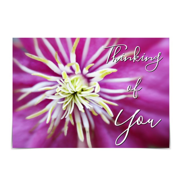 "Thinking of You" Pink-Purple Clematis Card (Creator Uploaded)