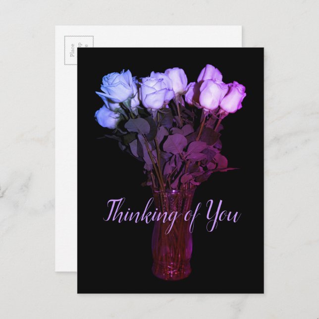 Thinking of You Pink Purple Rose Floral Photograph Postcard (Front/Back)