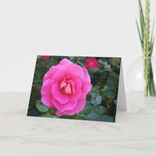 Thinking of You Pink Rose Card
