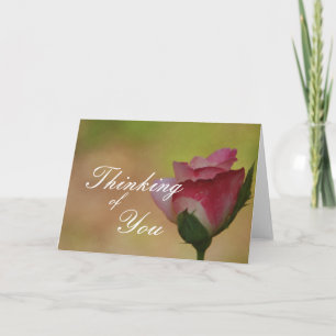 Thinking of You Pink Rose Card