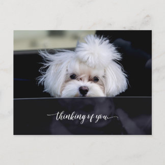Thinking of You Post Card