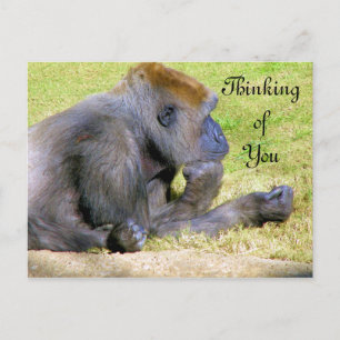 Thinking of You_ Postcard
