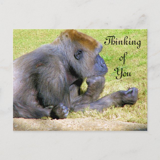 Thinking of You_ Postcard (Front)