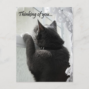Thinking of You Postcard