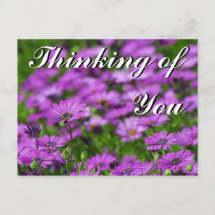 Thinking of You Postcard