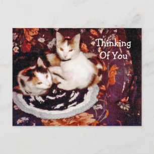 Thinking of You Postcard