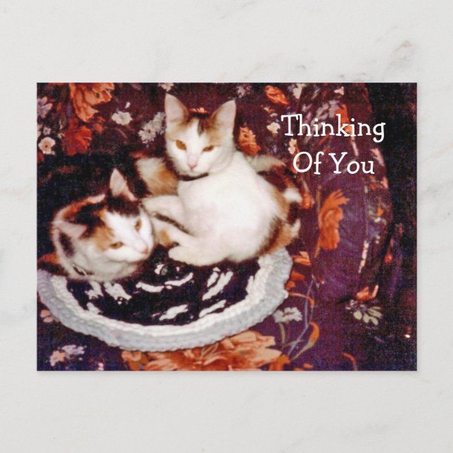 Thinking of You Postcard (Front)