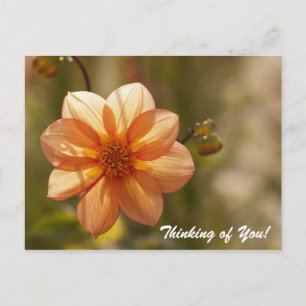 Thinking of You Postcard
