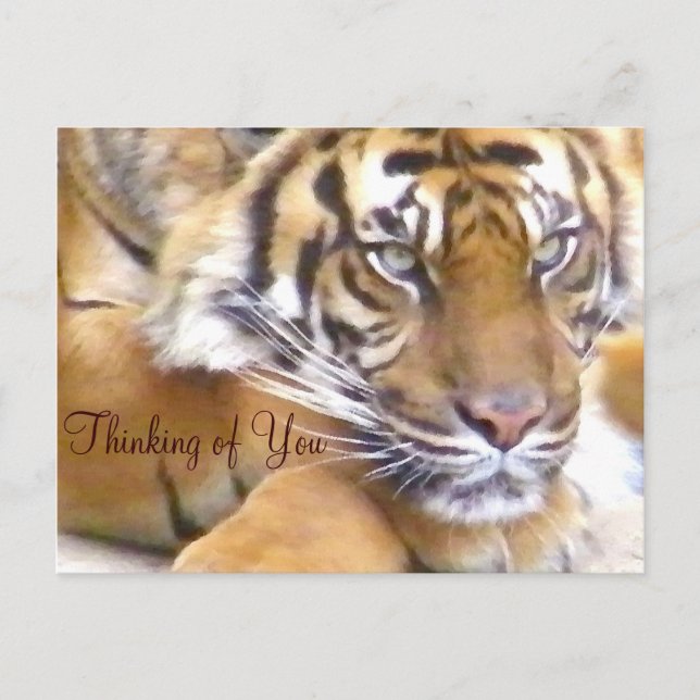Thinking of You_ Postcard (Front)