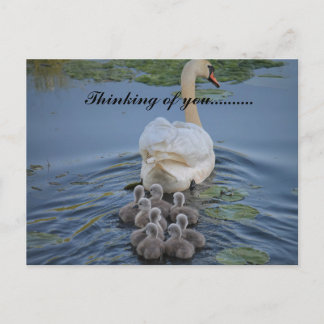 thinking of you  postcard