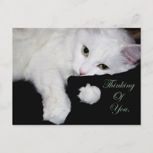 Thinking of You.. Postcard