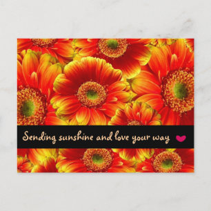 Thinking of You Postcard