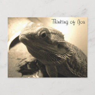 Thinking of You Postcard