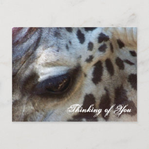 Thinking Of You_ Postcard_by Elenne Boothe Postcard