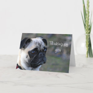 Thinking of you pug greeting card