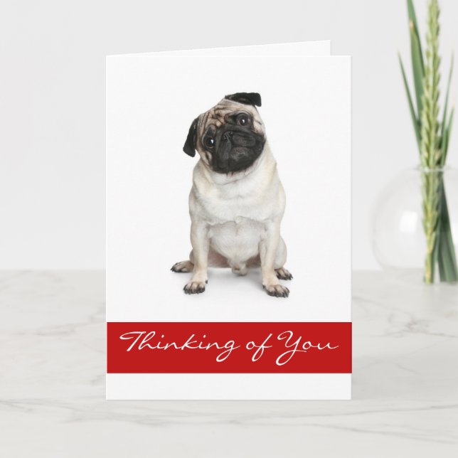 Thinking of You Pug Puppy Dog Greeting Card (Front)