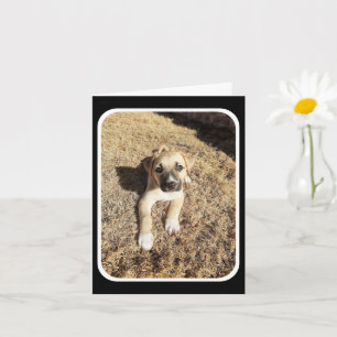Thinking of You - Puppy Cuteness Card