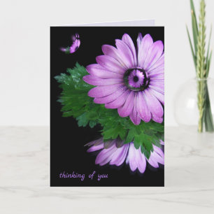 thinking of you purple daisy with bubbles card