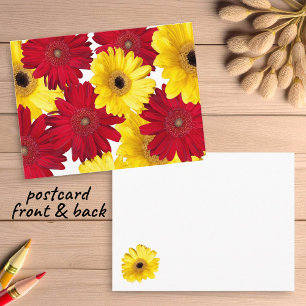 Thinking of You Red and Yellow Gerber Daisies Postcard